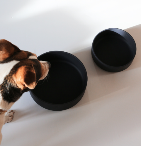 Different size bowl for dogs